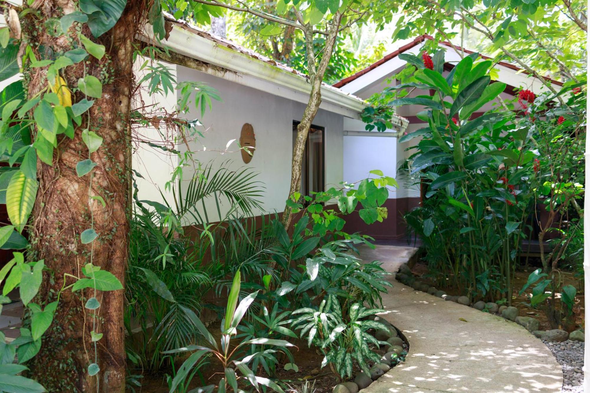 Bambutel Cocles Hotel Puerto Viejo de Talamanca Exterior foto