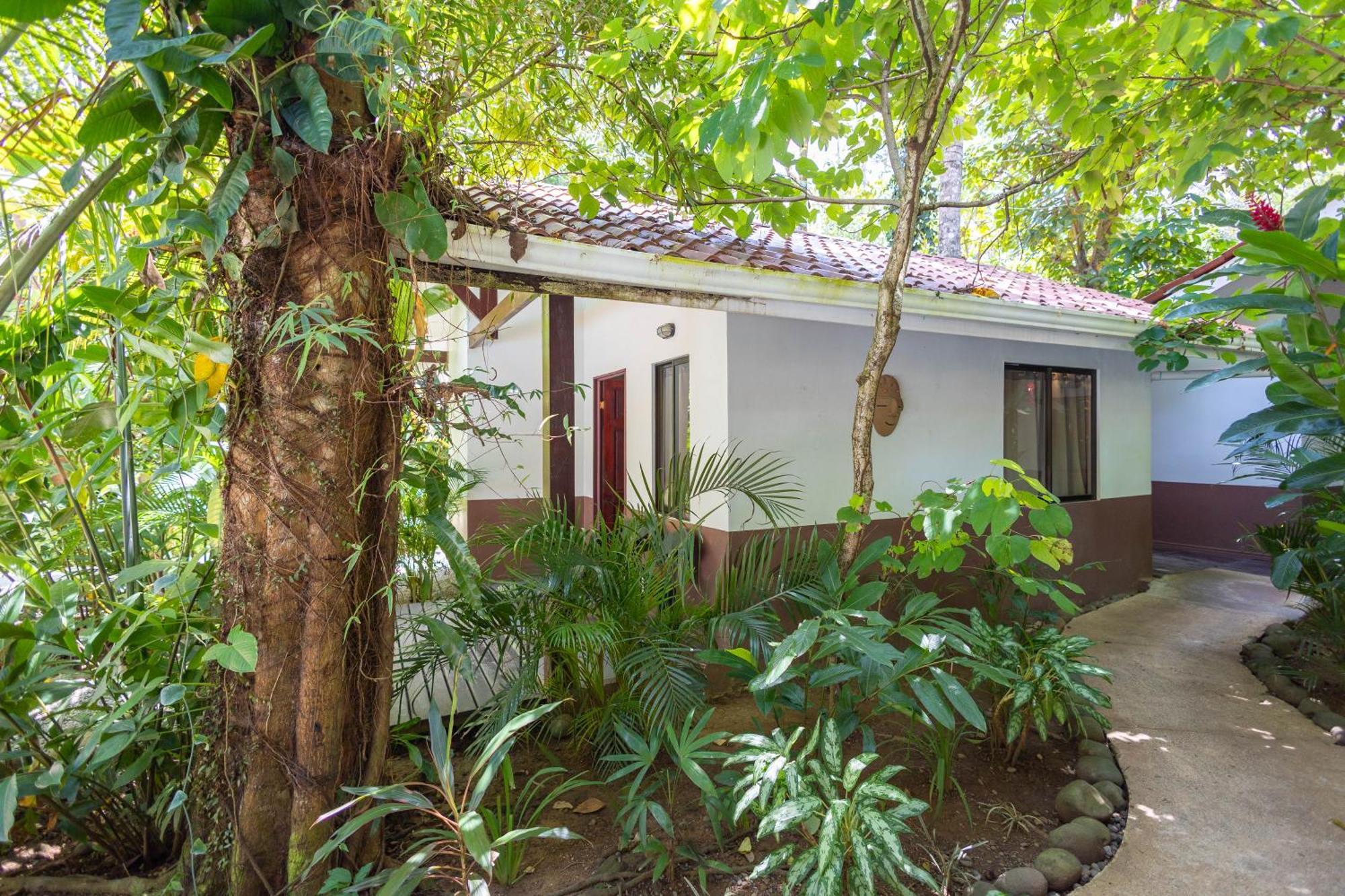 Bambutel Cocles Hotel Puerto Viejo de Talamanca Exterior foto